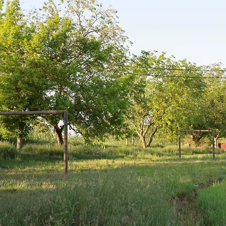 Holiday home Masia Rural Cal Belles Mas Riudarenes